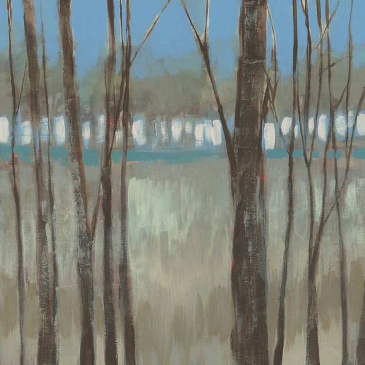 Picture of WITHIN THE TREES I
