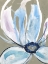 Picture of FLORAL FOCUS II