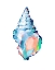Picture of POP SHELL STUDY II