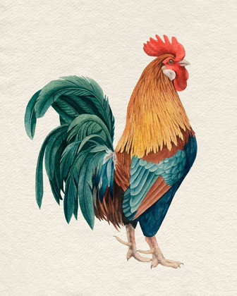 Picture of WATERCOLOR ROOSTER I