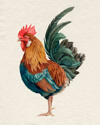 Picture of WATERCOLOR ROOSTER II