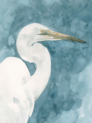 Picture of WATERCOLOR HERON PORTRAIT II