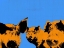 Picture of POP ART FARM III
