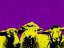Picture of POP ART FARM IV