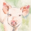 Picture of SUNNY THE PIG I