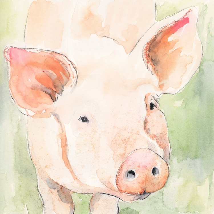 Picture of SUNNY THE PIG II