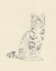 Picture of HOUSE CAT IV