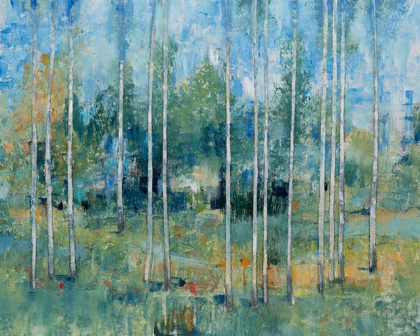 Picture of WOODLAND VIEW II