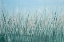 Picture of TALL GRASS II