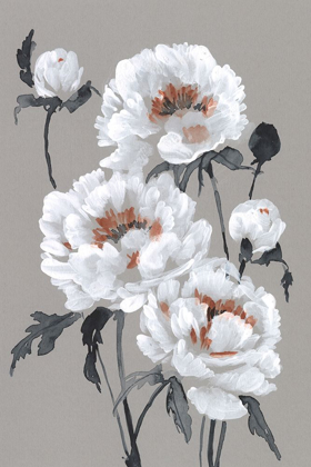 Picture of PEONY PROFUSION I