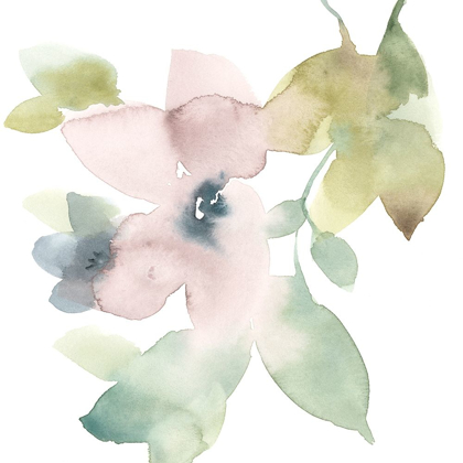 Picture of SWEET PETALS AND LEAVES IV