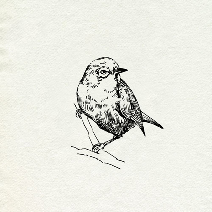 Picture of BIRD FEEDER FRIENDS III