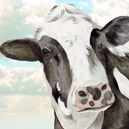 Picture of PORTRAIT OF A COW II
