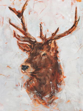 Picture of STAG STUDY I
