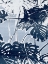 Picture of PLANT LIFE IV