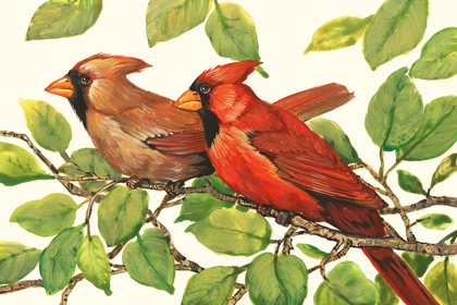 Picture of CARDINALS