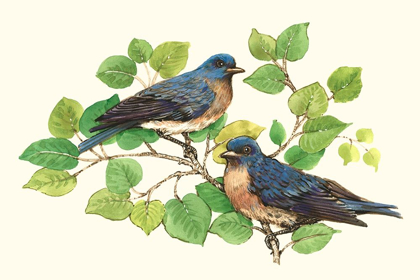 Picture of SONG BIRDS I