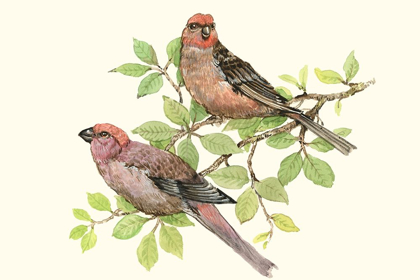 Picture of SONG BIRDS II