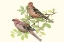 Picture of SONG BIRDS II