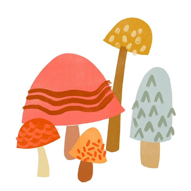 Picture of CUPCAKE MUSHROOMS III