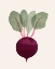 Picture of ORGANIC VEG IX