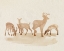 Picture of WHITETAIL HERD II
