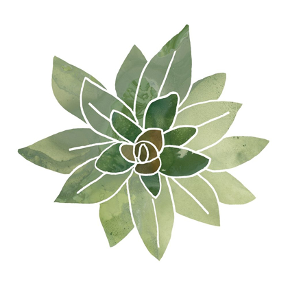 Picture of SUCCULENT CAMEO I