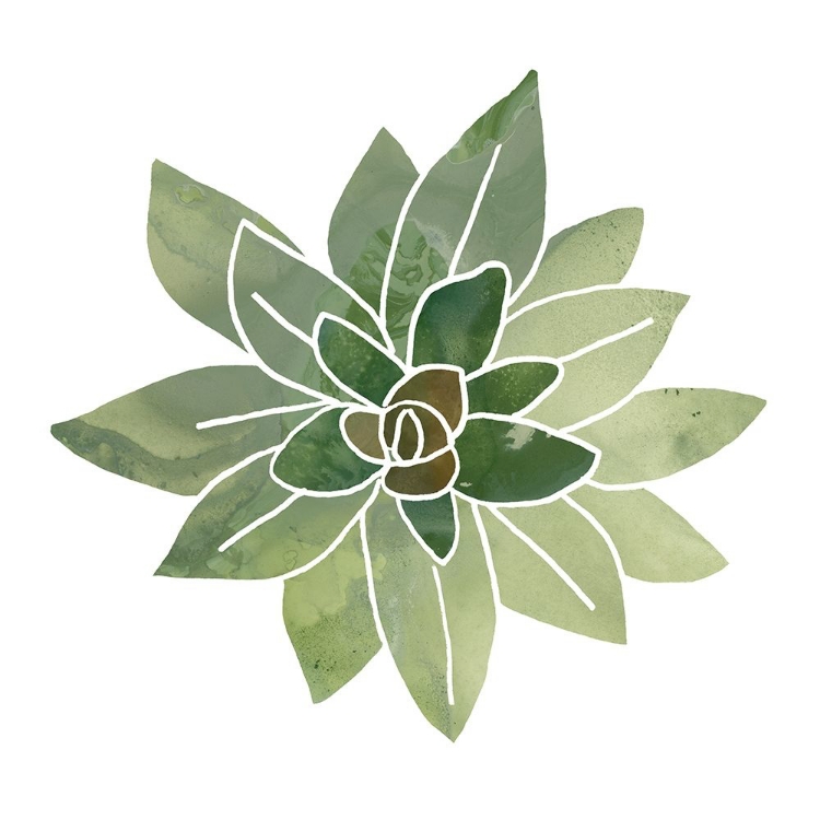 Picture of SUCCULENT CAMEO I