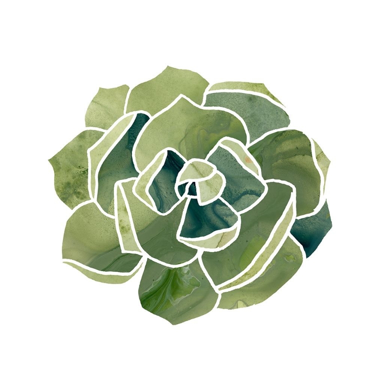 Picture of SUCCULENT CAMEO III