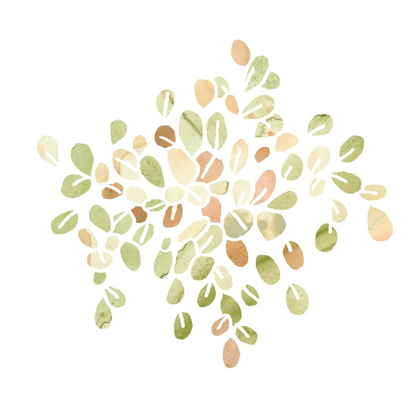 Picture of SUCCULENT CAMEO IV