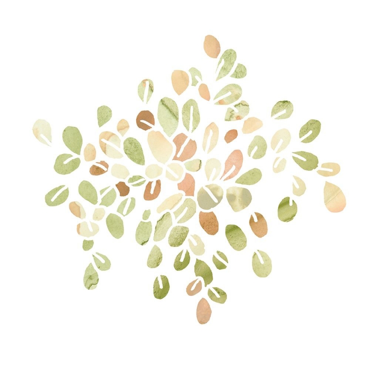 Picture of SUCCULENT CAMEO IV