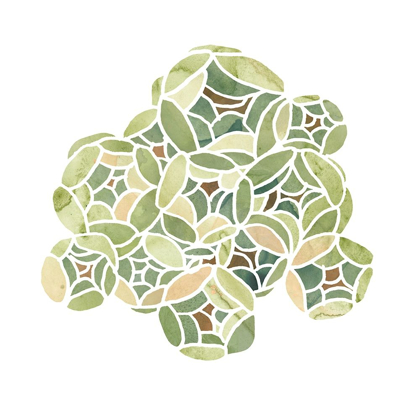 Picture of SUCCULENT CAMEO V