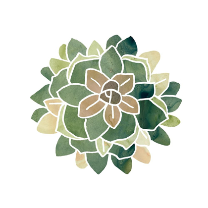 Picture of SUCCULENT CAMEO VI
