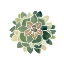 Picture of SUCCULENT CAMEO VI