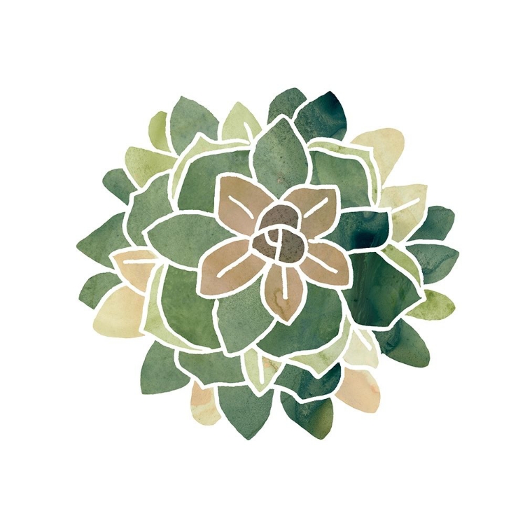 Picture of SUCCULENT CAMEO VI