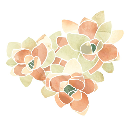 Picture of SUCCULENT CAMEO VII