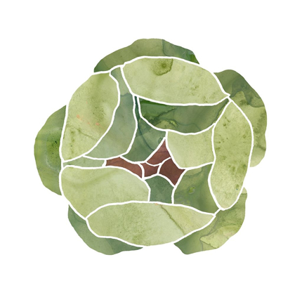 Picture of SUCCULENT CAMEO VIII