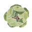 Picture of SUCCULENT CAMEO VIII