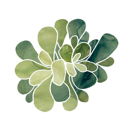 Picture of SUCCULENT CAMEO IX