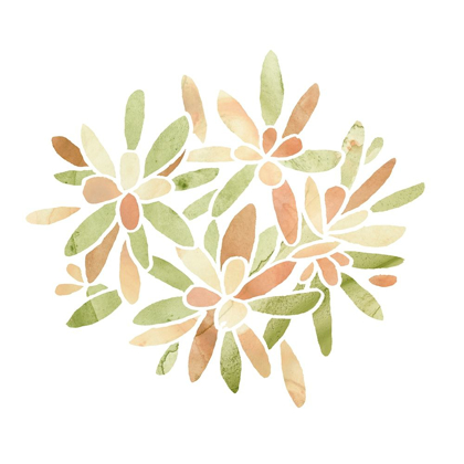 Picture of SUCCULENT CAMEO X