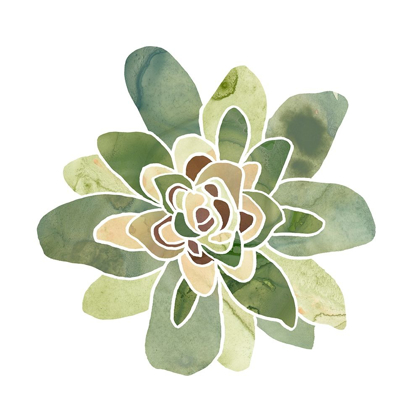 Picture of SUCCULENT CAMEO XI