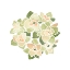 Picture of SUCCULENT CAMEO XII