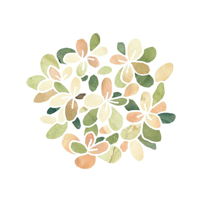 Picture of SUCCULENT CAMEO XIII