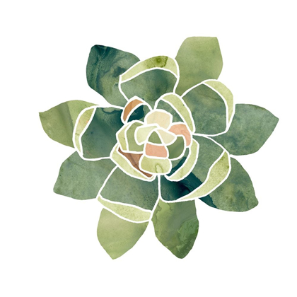 Picture of SUCCULENT CAMEO XIV