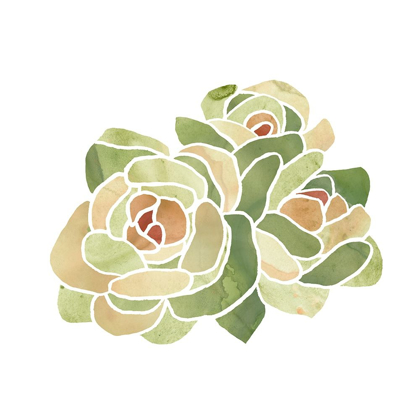 Picture of SUCCULENT CAMEO XV