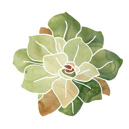 Picture of SUCCULENT CAMEO XVI