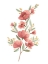 Picture of WILDFLOWER SPRIG III