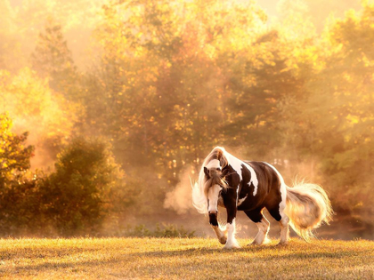 Picture of HORSE MOTION III
