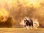 Picture of HORSE MOTION III