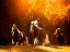 Picture of HORSE MOTION V